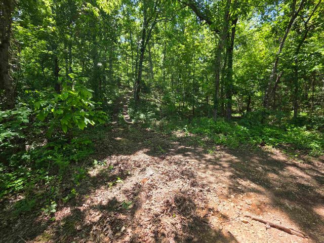 L43, 44 White Horse Mountain Road, Hardy, AR 72542