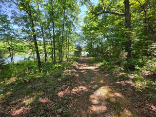 L43, 44 White Horse Mountain Road, Hardy, AR 72542