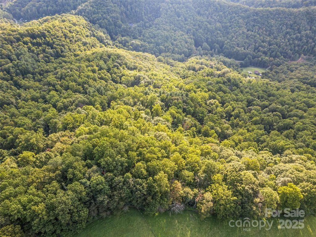 000 Crackin Chestnut Lane, Sylva, NC 28779