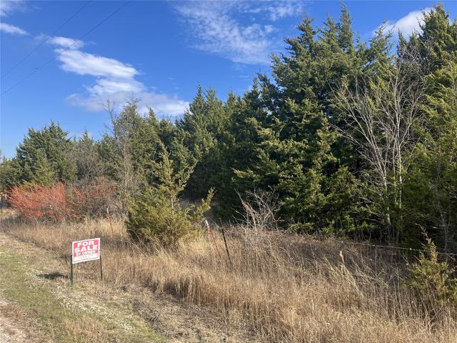 TBD County Road 670, Blue Ridge, TX 75424