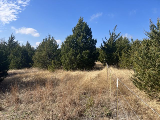TBD County Road 670, Blue Ridge, TX 75424