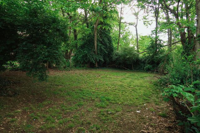 557 Chestnut Street, Lexington, KY 40508