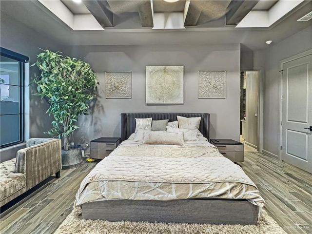 13509 Borolo Drive, Edinburg, TX 78541