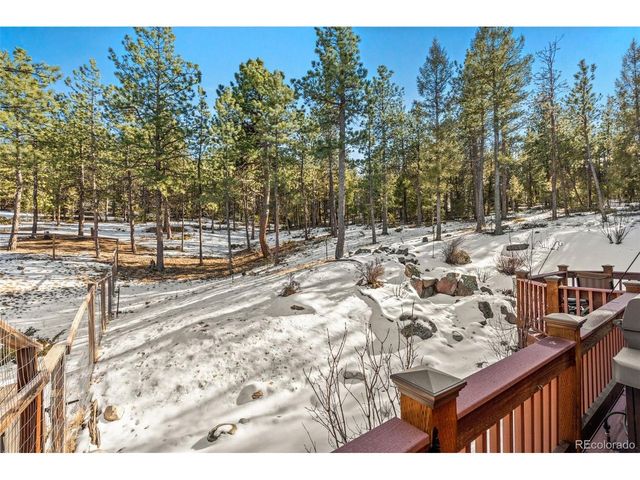 186 Territory Dr, Pine, CO 80470
