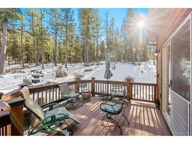 186 Territory Dr, Pine, CO 80470