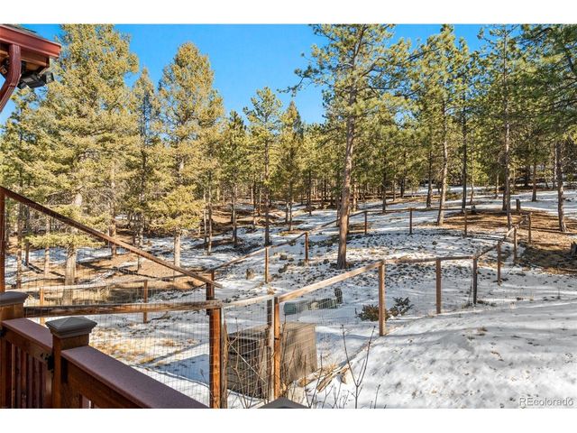 186 Territory Dr, Pine, CO 80470