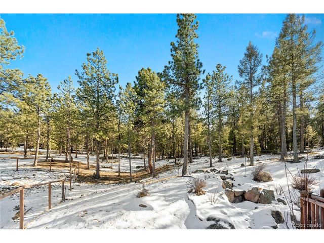 186 Territory Dr, Pine, CO 80470