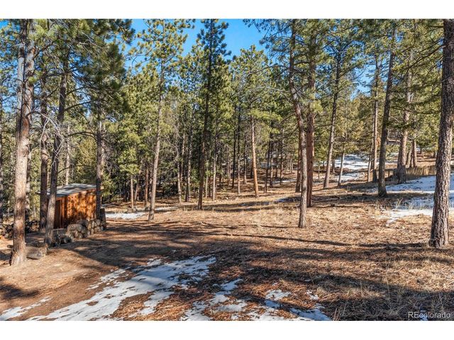 186 Territory Dr, Pine, CO 80470