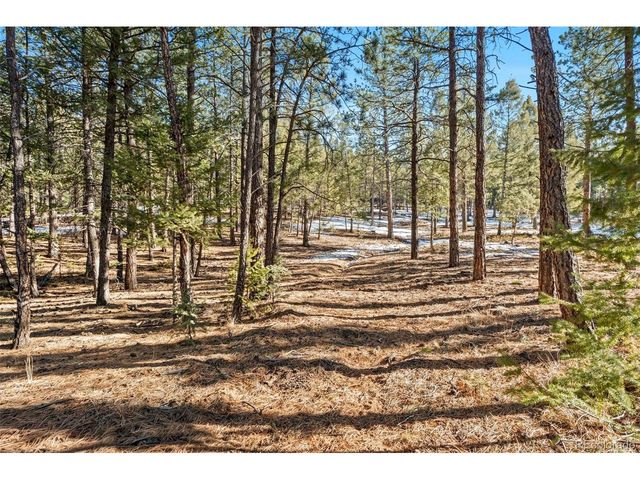 186 Territory Dr, Pine, CO 80470