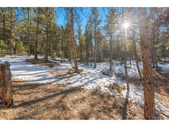 186 Territory Dr, Pine, CO 80470