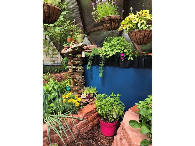 186 Territory Dr, Pine, CO 80470