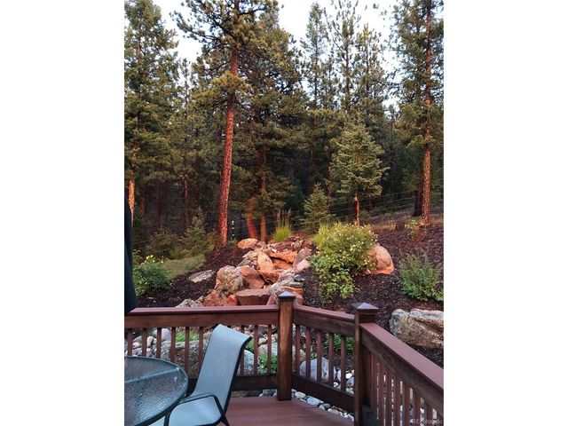 186 Territory Dr, Pine, CO 80470