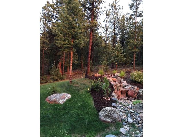 186 Territory Dr, Pine, CO 80470
