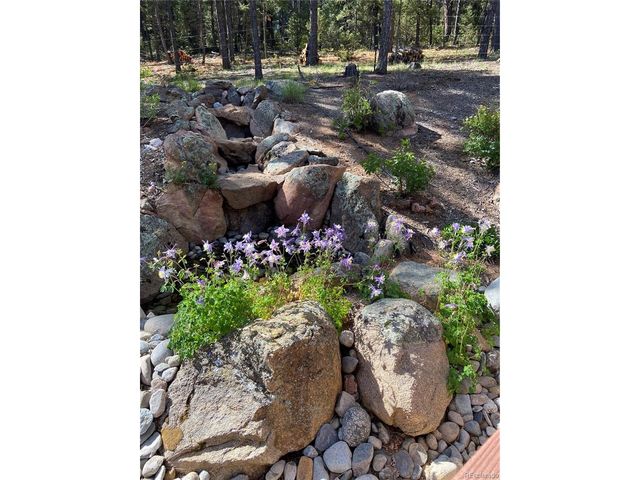 186 Territory Dr, Pine, CO 80470