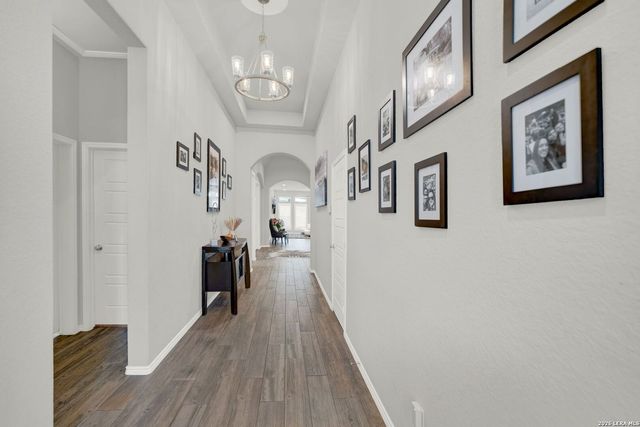 14618 Hallows, San Antonio, TX 78254