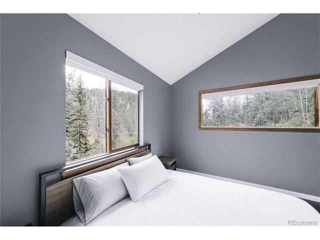 961 Roland Dr, Bailey, CO 80421