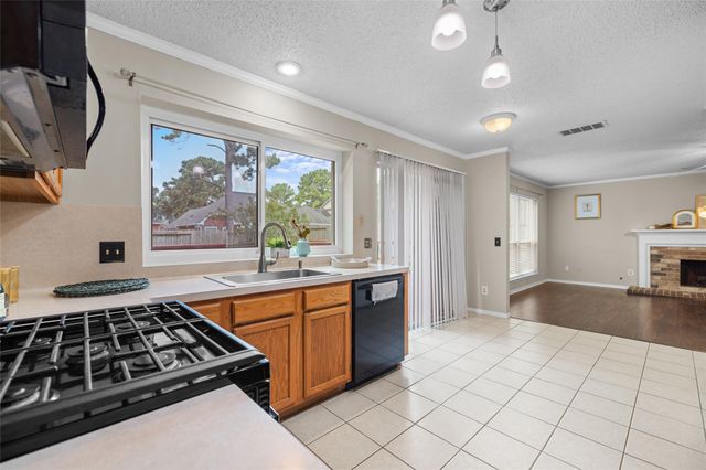 16003 Sugar Ridge Drive, Houston, TX 77095