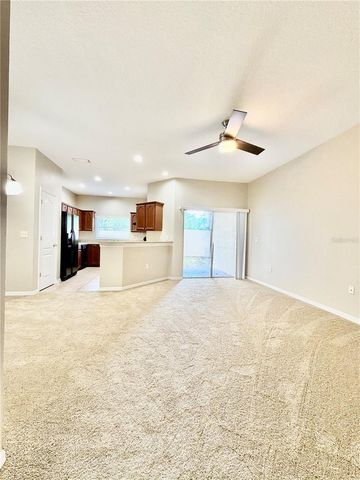 1144 ANDREW AVILES CIRCLE, Tampa, FL 33619