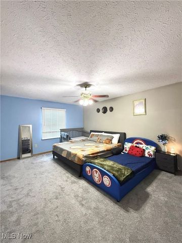 9 Willow Way, Canfield, OH 44406