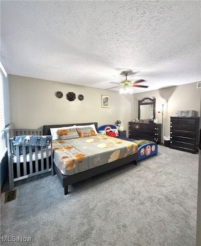 9 Willow Way, Canfield, OH 44406