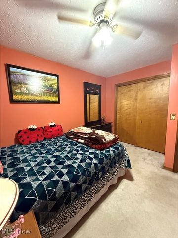 9 Willow Way, Canfield, OH 44406