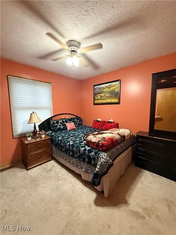 9 Willow Way, Canfield, OH 44406