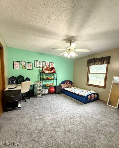 9 Willow Way, Canfield, OH 44406