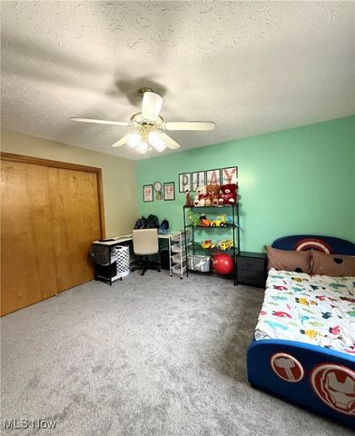 9 Willow Way, Canfield, OH 44406