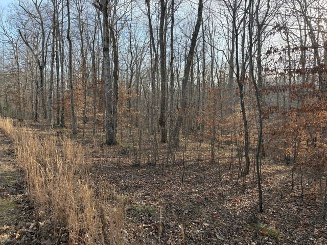 0 Harbour Park Lane, Sparta, TN 38583