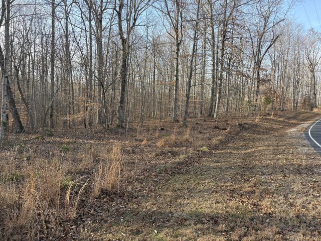 0 Harbour Park Lane, Sparta, TN 38583