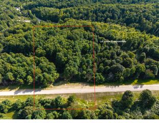 Lot #3 E Bellinger Road, Cedar, MI 49621