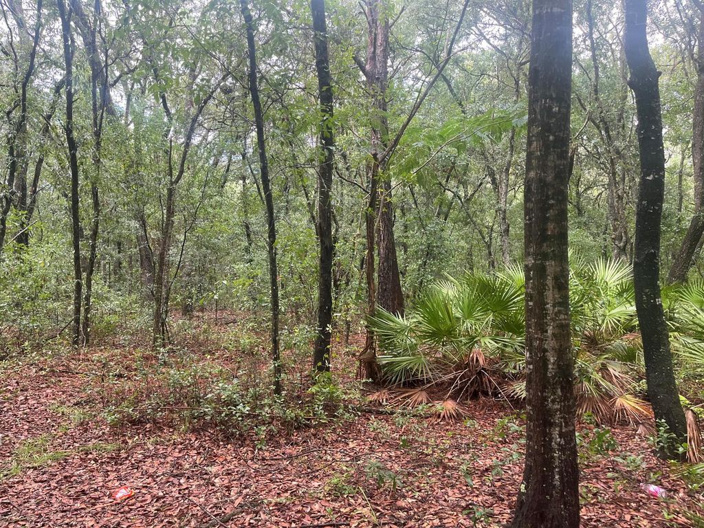 Tbd Delaware Avenue, Interlachen, FL 32148