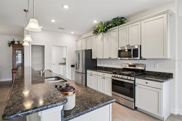 27040 CAMERONS RUN, Leesburg, FL 34748