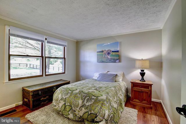 16119 HAMPTON RD, Hamilton, VA 20158