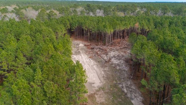 2265 Kickapoo Road, Groveton, TX 75845