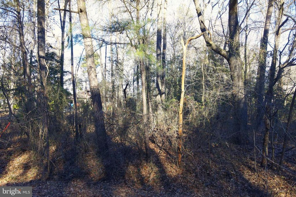 0 S PINEY POINT RD, Bishopville, MD 21813