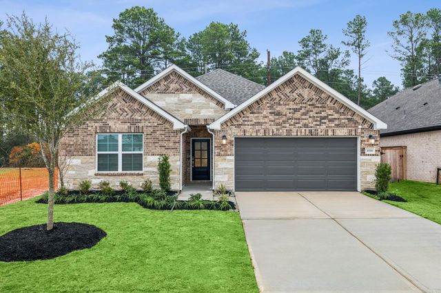 13913 Baikal Manor Drive, Santa Fe, TX 77510
