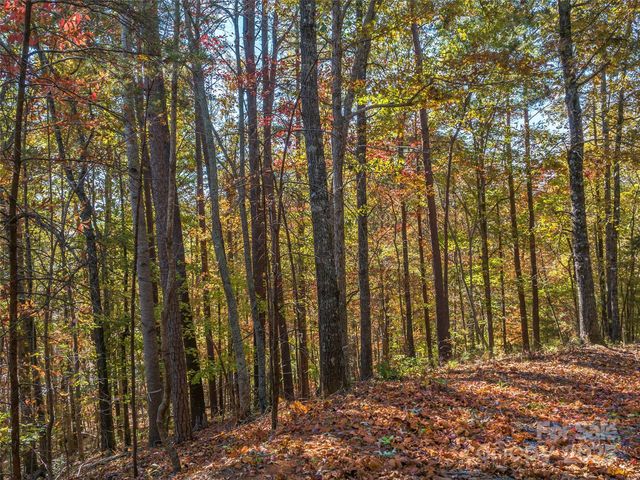000 South Cove Road 17, Mill Spring, NC 28756