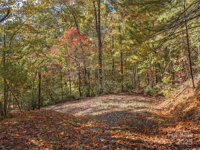 000 South Cove Road 17, Mill Spring, NC 28756