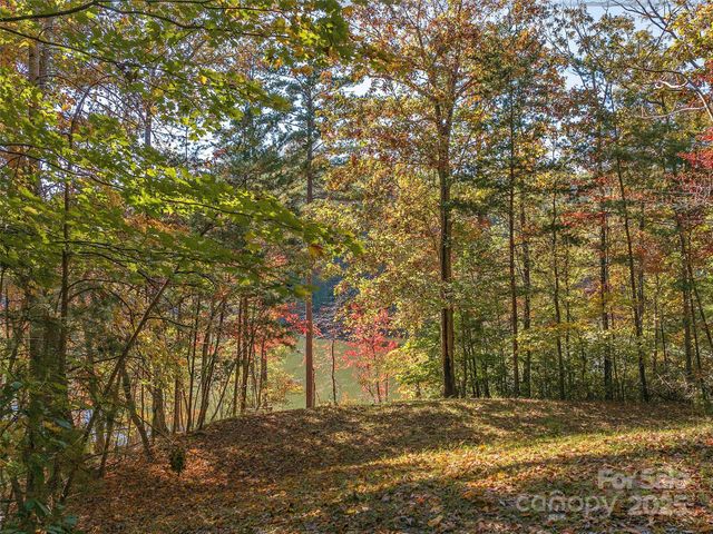 000 South Cove Road 17, Mill Spring, NC 28756