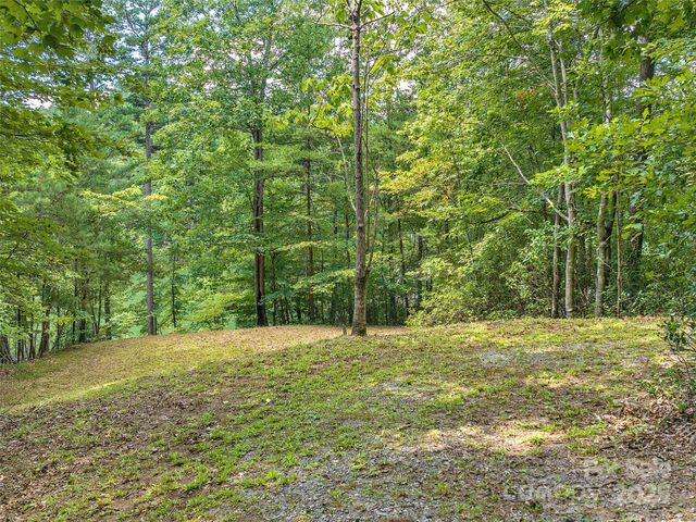 000 South Cove Road 17, Mill Spring, NC 28756