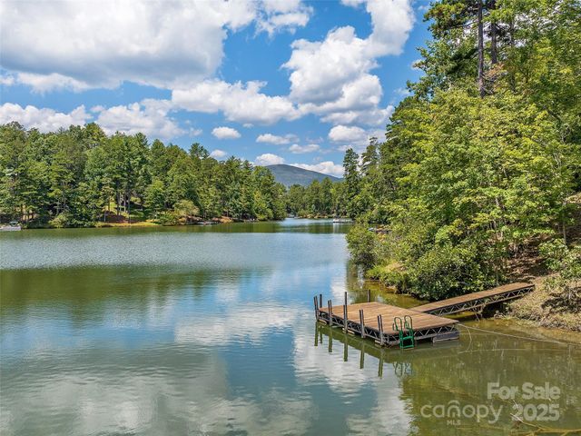 000 South Cove Road 17, Mill Spring, NC 28756