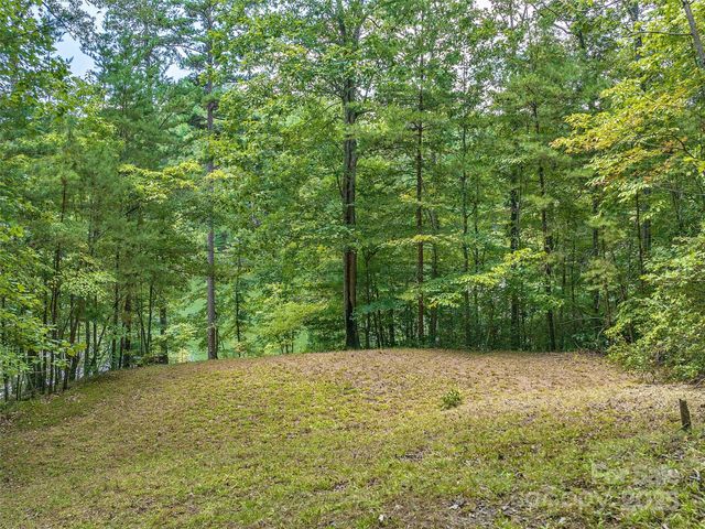 000 South Cove Road 17, Mill Spring, NC 28756