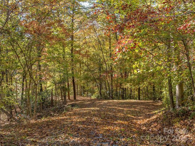 000 South Cove Road 17, Mill Spring, NC 28756