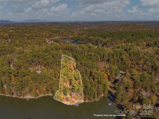 000 South Cove Road 17, Mill Spring, NC 28756