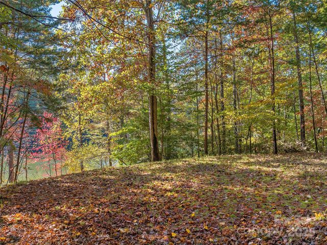 000 South Cove Road 17, Mill Spring, NC 28756