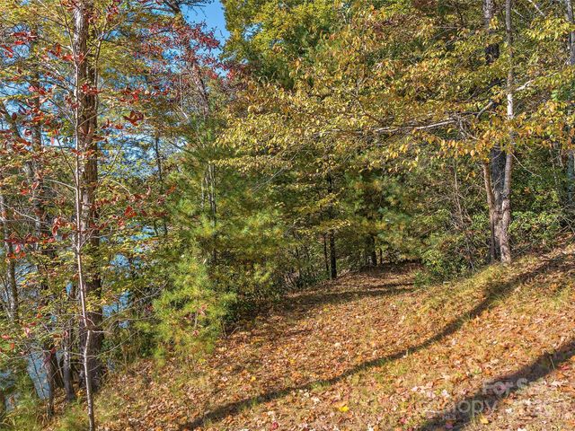 000 South Cove Road 17, Mill Spring, NC 28756