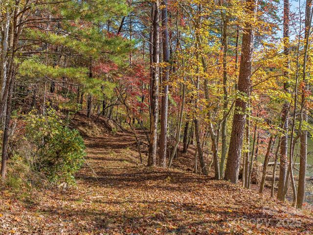 000 South Cove Road 17, Mill Spring, NC 28756