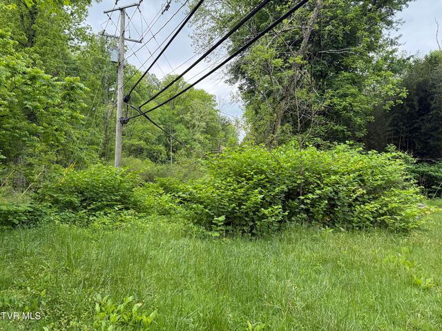721 Taggart Avenue, Big Stone Gap, VA 24219