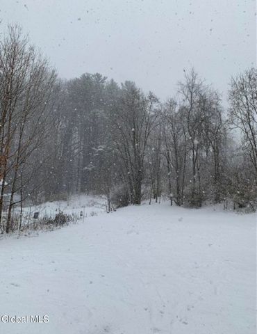 141 Reed Street, Northville, NY 12134